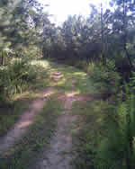 Mooresville Homes for sale